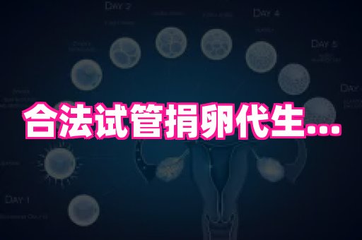 天津助孕网站 4